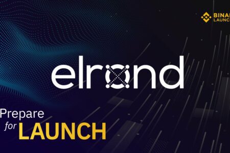 Binance 新一輪 IEO 項目－Elrond 流程公布