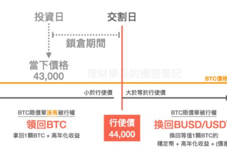 全網最白話拆解「雙幣投資」，手把手教你爆賺 100% 年化收益率