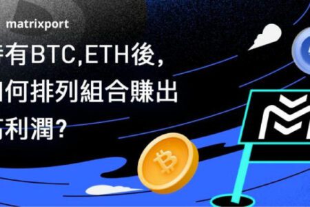 持有 BTC, ETH 後，如何排列組合賺出高利潤？