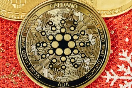 美 SEC 受理灰度 Cardano 現貨 ETF 申請